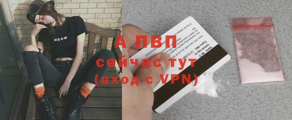 дурь Рославль