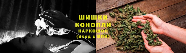 кокс Ростов