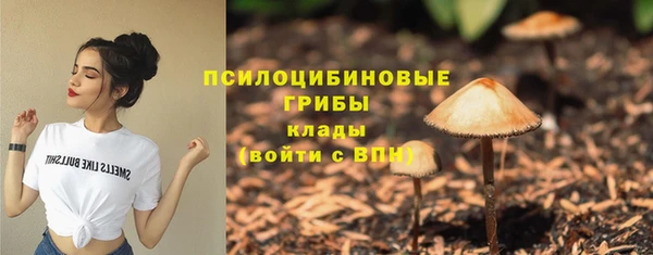 ECSTASY Россошь