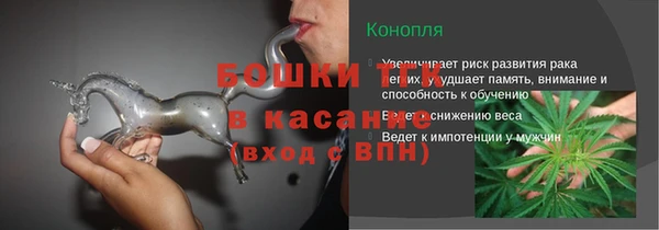 ГАЛЛЮЦИНОГЕННЫЕ ГРИБЫ Абаза