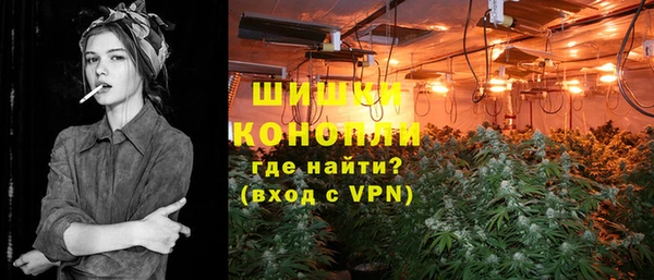 ГАЛЛЮЦИНОГЕННЫЕ ГРИБЫ Абаза