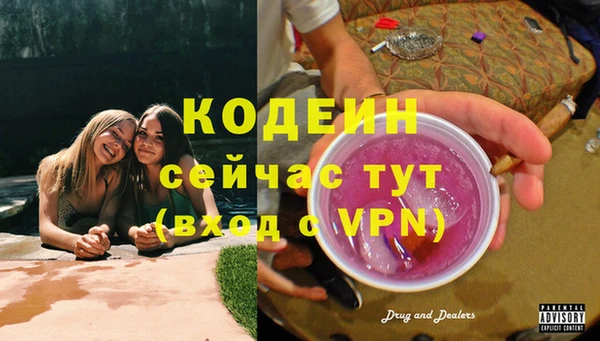 ГАЛЛЮЦИНОГЕННЫЕ ГРИБЫ Абаза