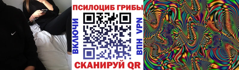 даркнет сайт Никольск Галлюциногенные грибы Psilocybe